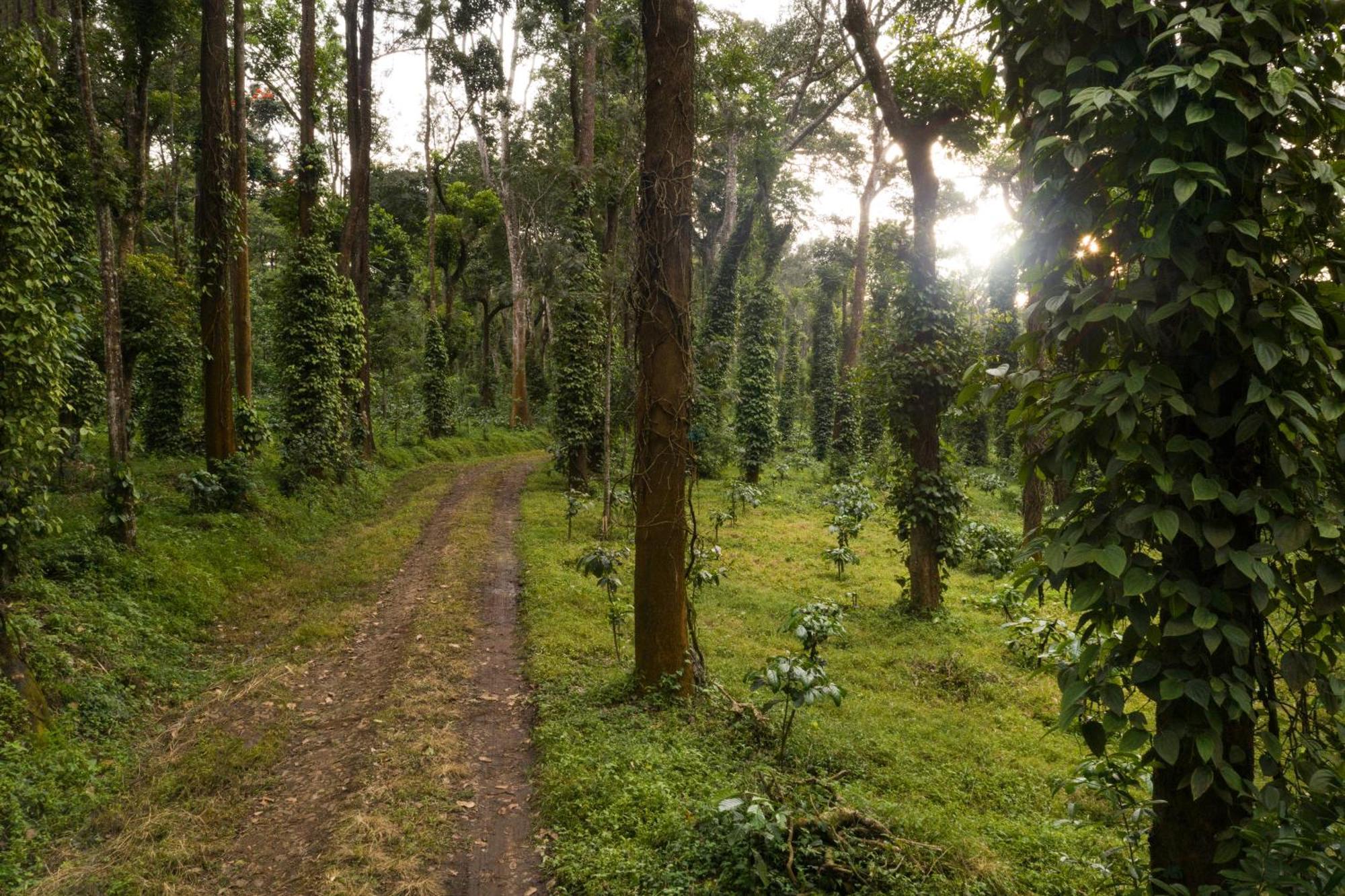 Tusker Trail By Luxunlock Hotel Suntikoppa Exterior photo